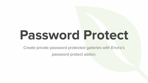 Envira Gallery – Password Protection Addon