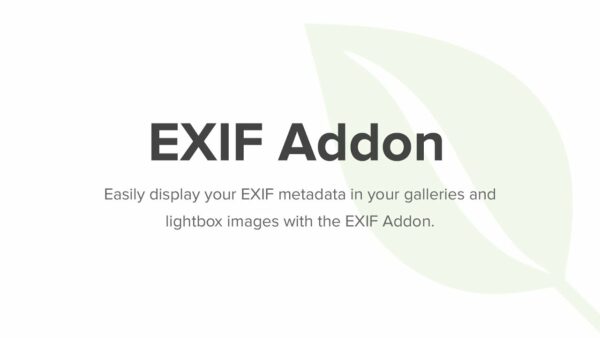 Envira Gallery – EXIF Addon