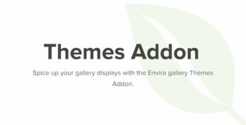 Envira Gallery – Gallery Themes Addon