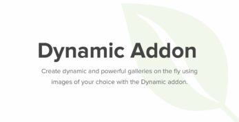 Envira Gallery – Dynamic Addon