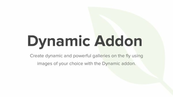 Envira Gallery – Dynamic Addon