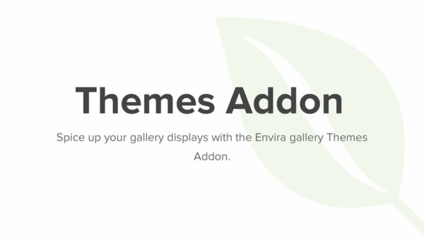 Envira Gallery – Gallery Themes Addon
