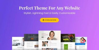 Astra Theme v4.0.2 + Astra Pro v4.0.1 [Activated]