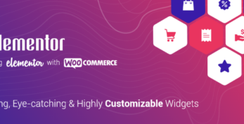 CoDesigner Pro v3.14 [Activated] (formerly Woolementor)
