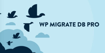 WP Migrate DB Pro v2.6.0 + Addons