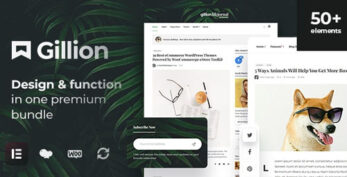 Gillion v4.11 – Multi-Concept Blog/Magazine & Shop WordPress AMP Theme